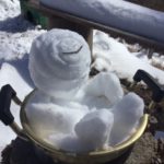 3月5日(月)〜3月9日(金)、小屋番お休みをいただきます