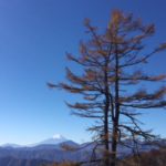 雲取山 日帰りピストン考(後編)